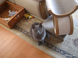 candy2011-8