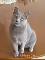 erika2011