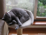 erika2011-1