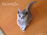 gabriella2011-8