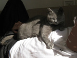daisy2011-2