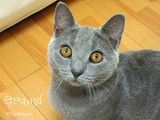 grand2011-9