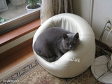 daisy2011-10-1