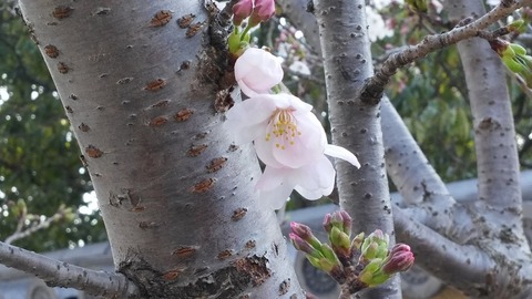 20160330 (6)