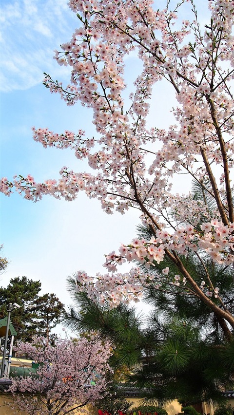 20170410_1 (4)