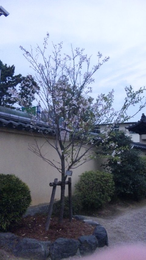 20100409 (4)