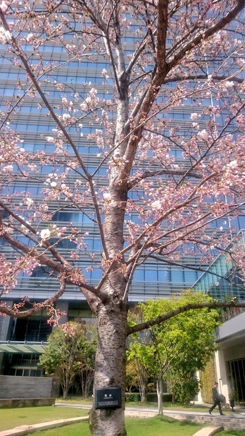 20170406 (2)
