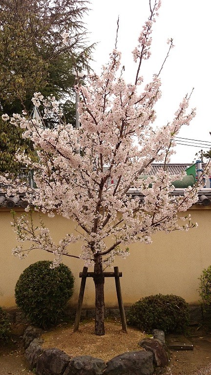 20160404 (7)