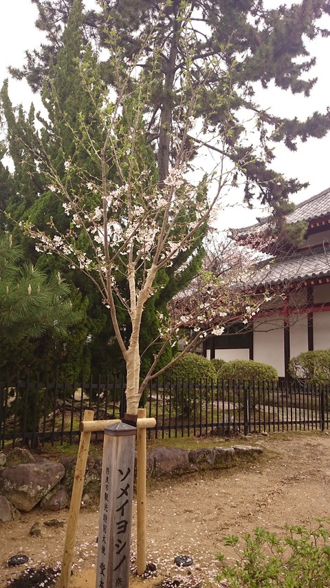20160408 (10)