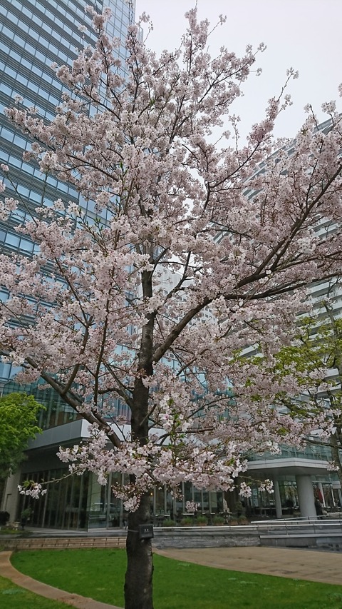 20170408 (1)