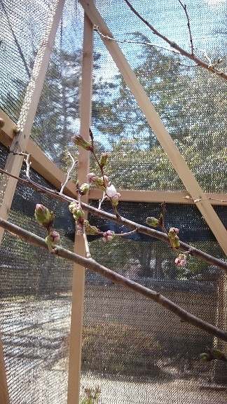 20160328 (1)