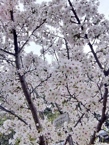 20160404 (2)