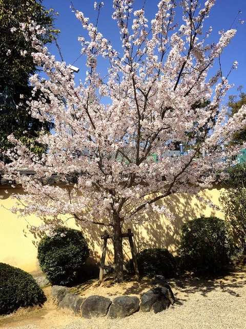 20180331 (3)