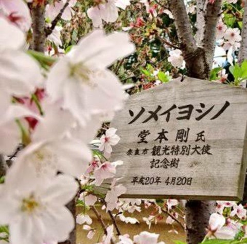 20170420