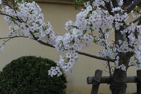 20160405 (2)