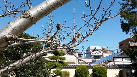20160317 (2)