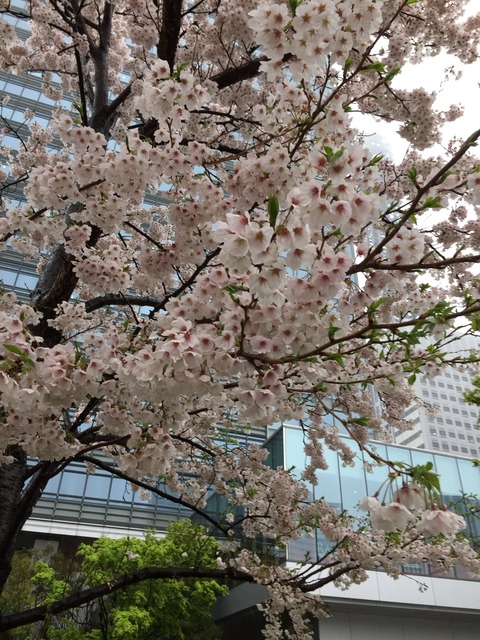 20170411 (4)
