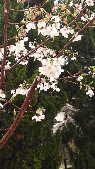 20160407 (5)