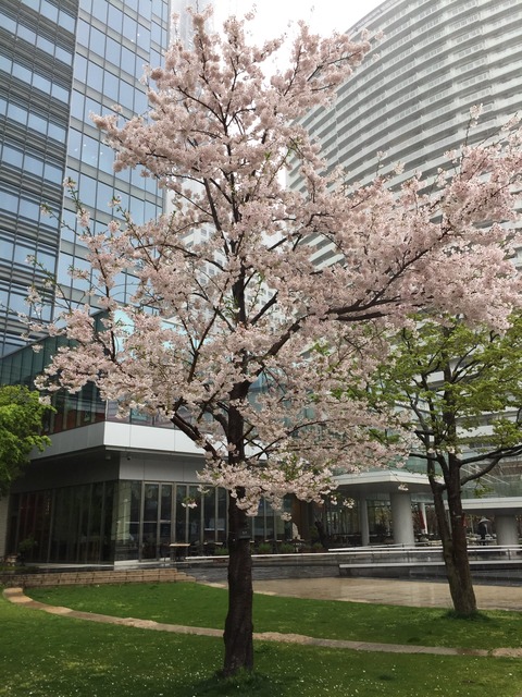 20170411 (3)