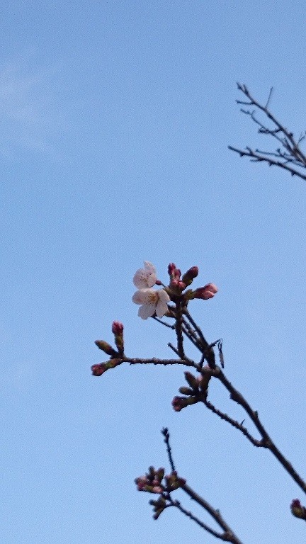 20160324 (1)