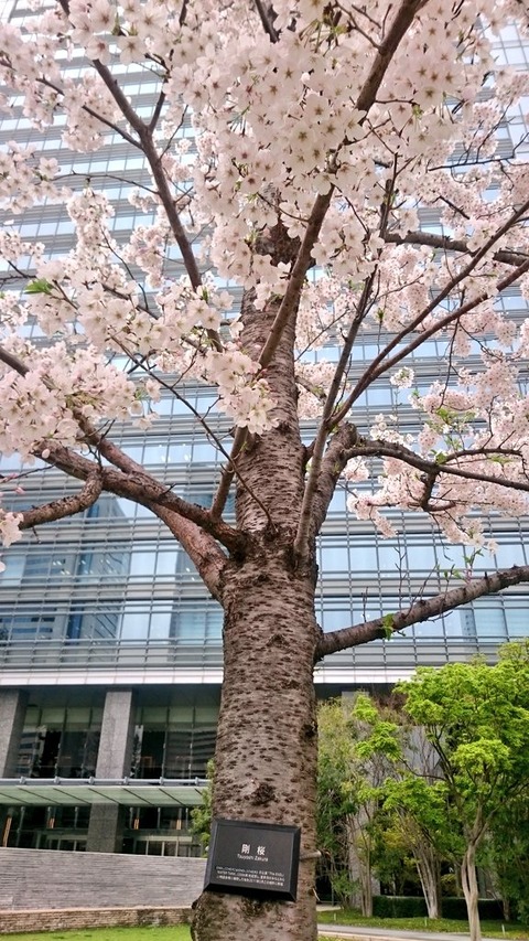 20170410 (2)