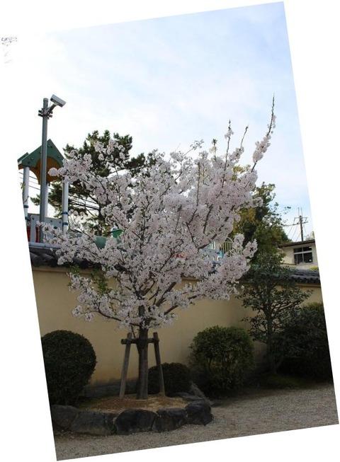 20160405 (1)