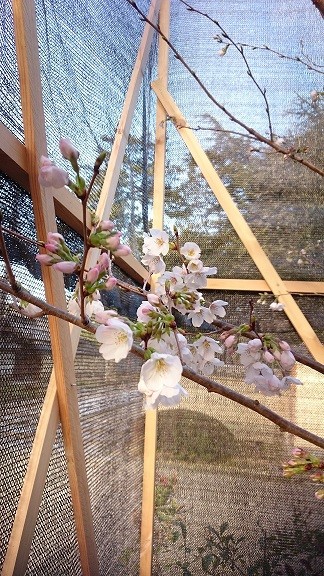 20160402 (9)