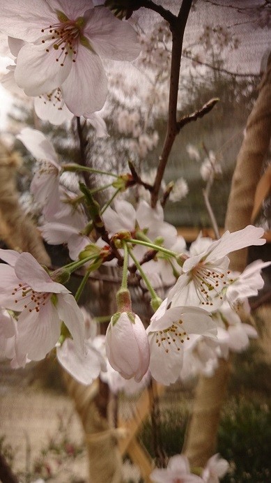 20160405 (3)