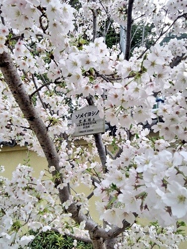 20160404 (3)