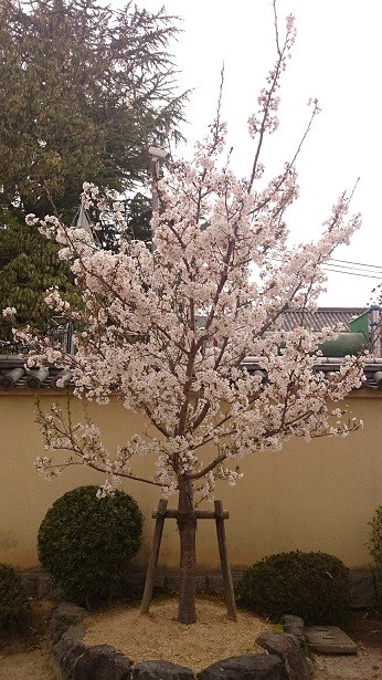 20160403 (4)