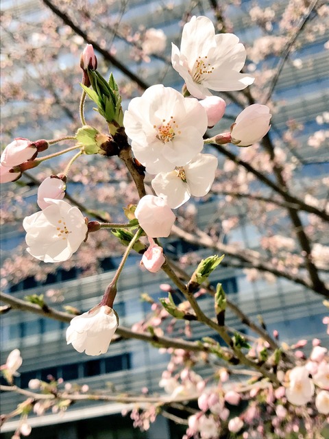 20170406 (4)