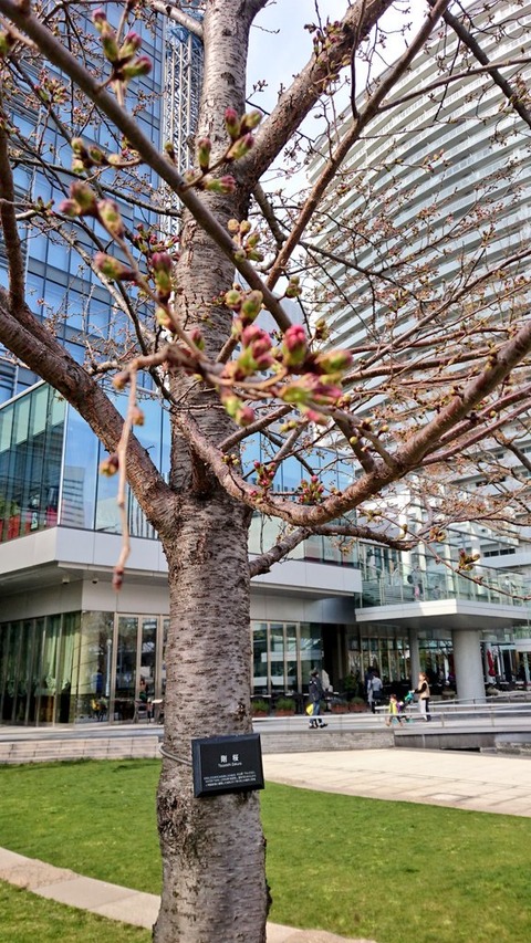 20170402 (1)