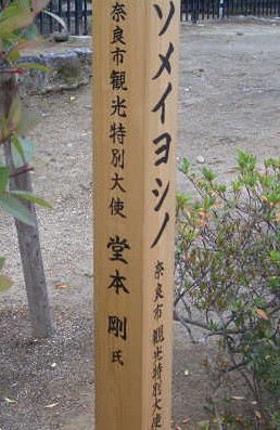 20090105_548425