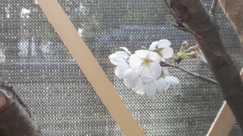 20160330 (10)