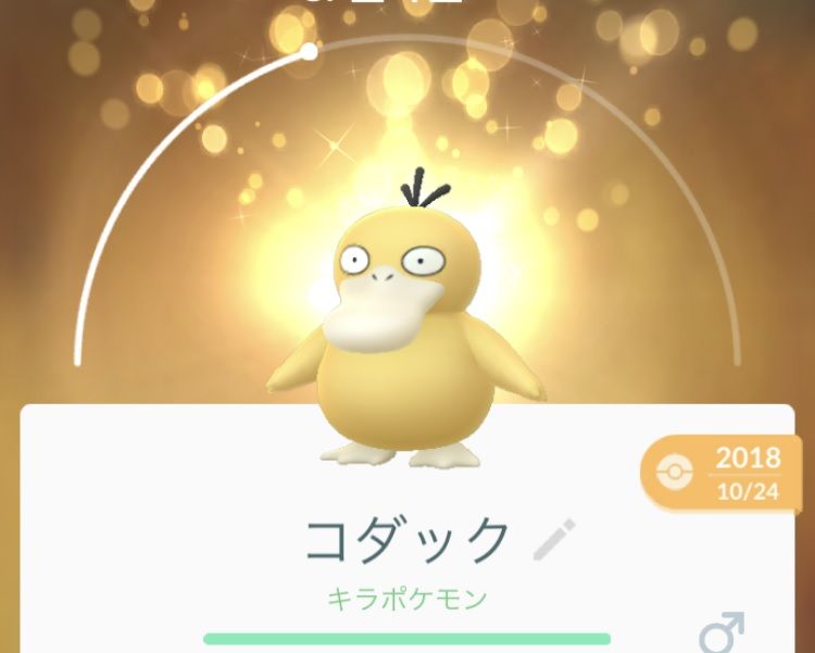 【ポケモンGO】今週末「色違いコダック」が大量発生する可能性大！ その根拠と理由