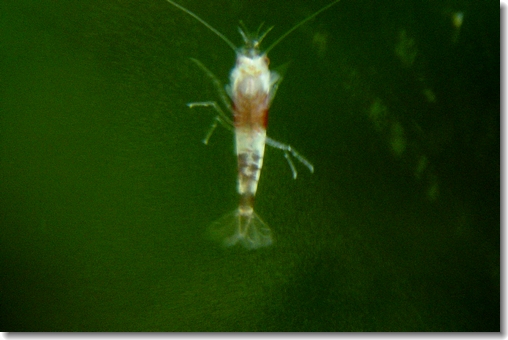 ?1