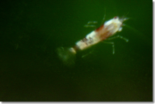 ?2
