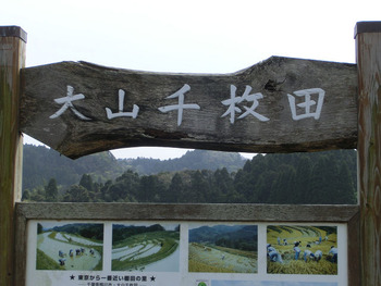 CIMG0955s