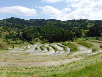 resize5402