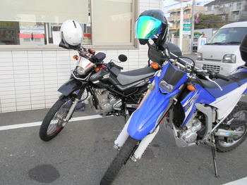 PB110235s