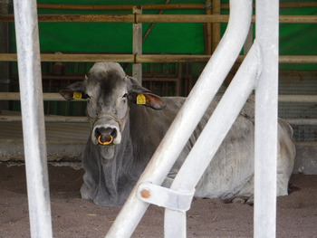 resize5394