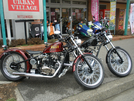 P3010073s