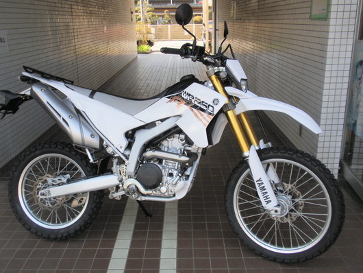 137WR250R(白)右