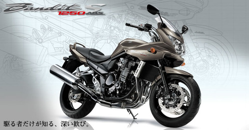 bandit1250s