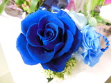 DSCN0909
