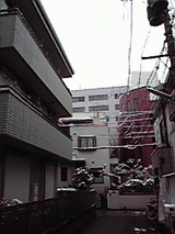 100218_snow