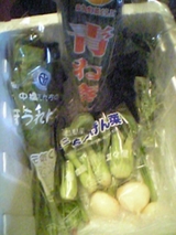 生協で配達された生鮮野菜08.05.08