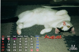 猫カレンダー2006.08