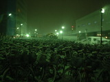 雪の中で寒そうにしている自転車たち