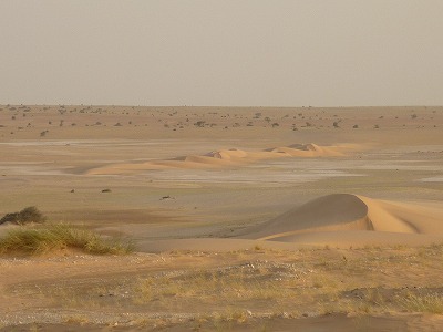 P1420051
